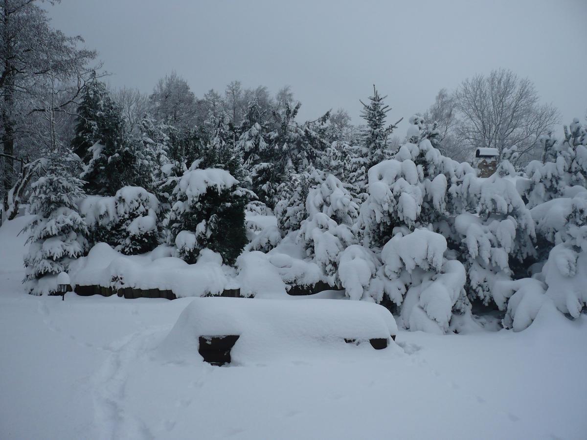 U Myslivce Villa Kamenicky Senov Luaran gambar